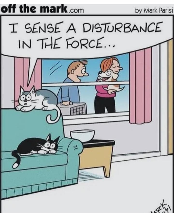 I SENSE A DISTURBANCE IN THE FORCE...