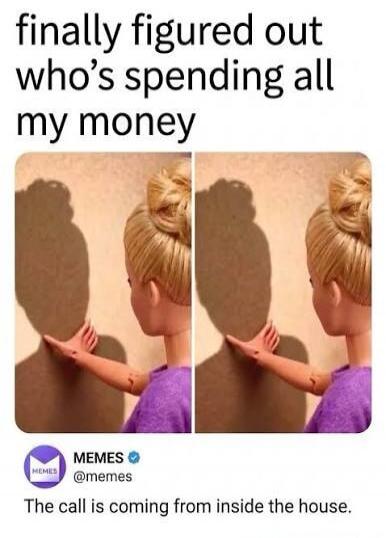 finally figured out who's spending all my money MEMES @memes The call is coming from inside the house.