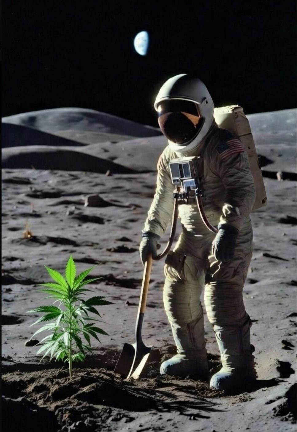 An astronaut on the moon is planting a cannabis plant with a shovel. The Earth is visible in the dark sky.