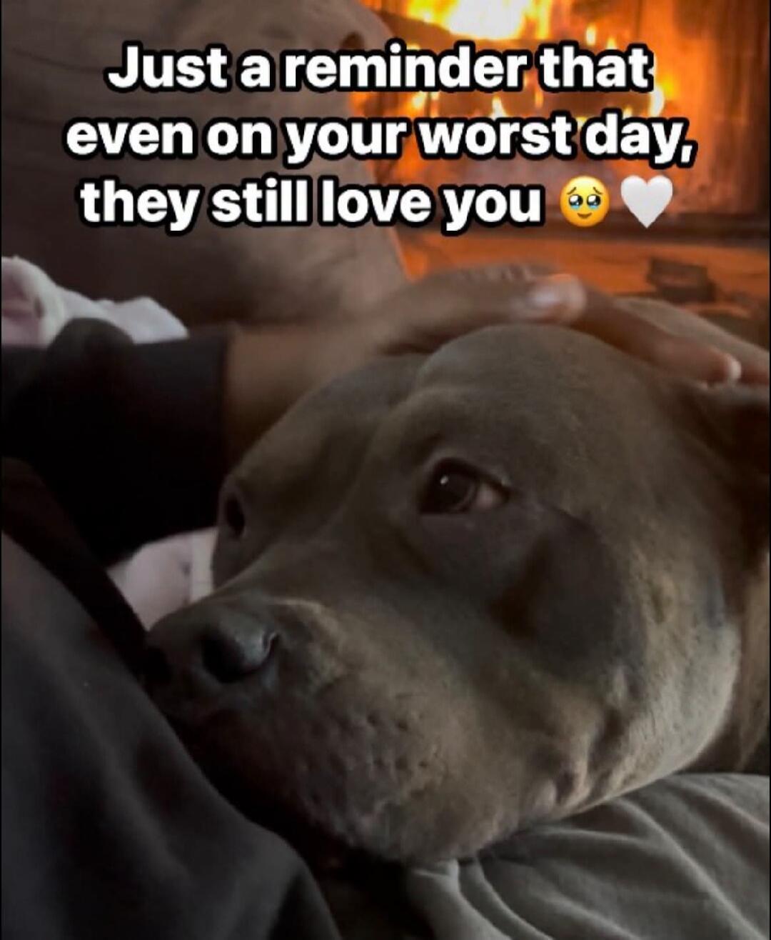 Just a reminder that even on your worst day, they still love you 🥺🤍