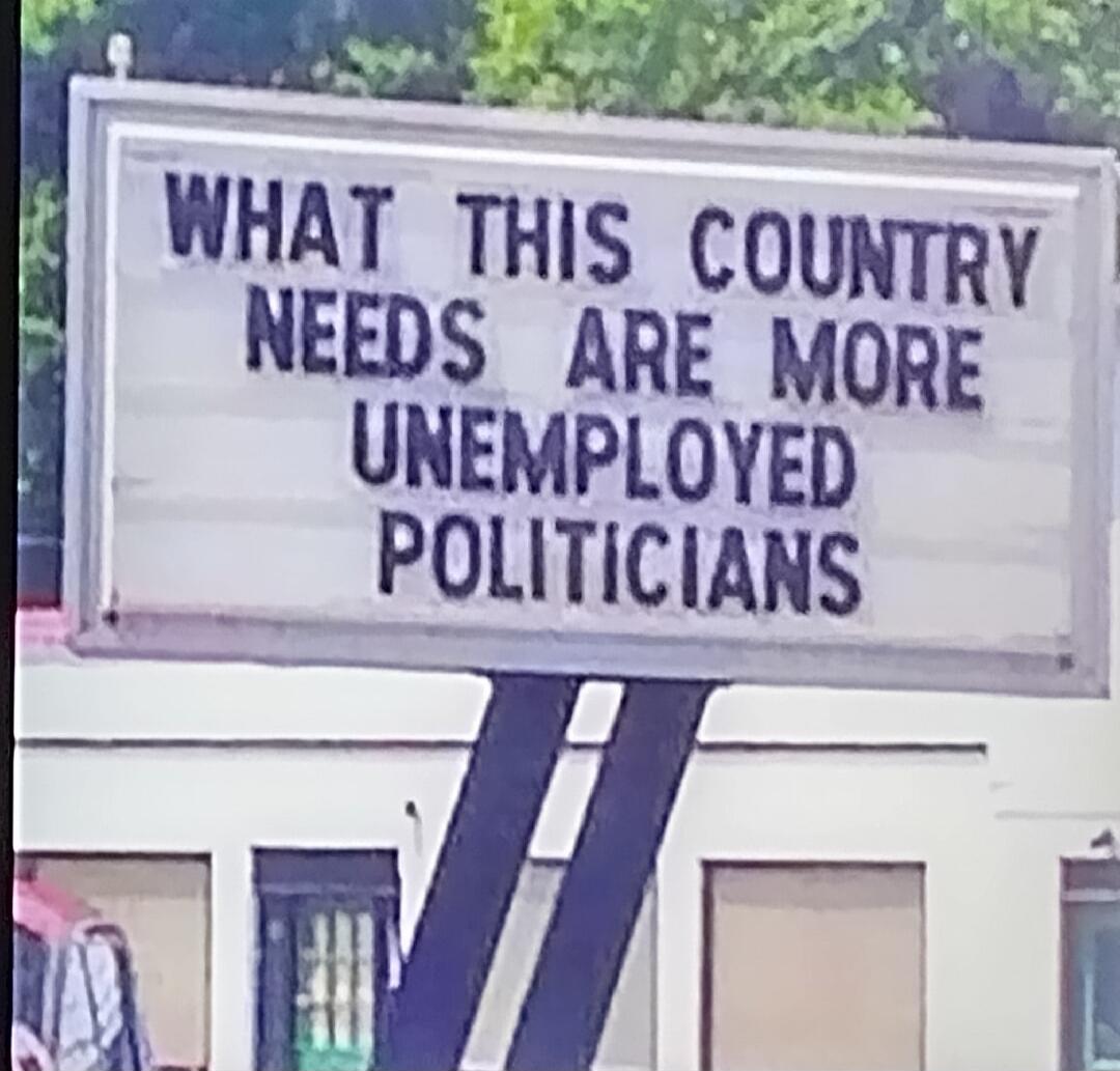 WHAT THIS COUNTRY NEEDS ARE MORE UNEMPLOYED POLITICIANS