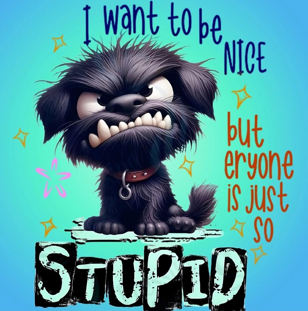 I want to be NICE but everyone is just so STUPID