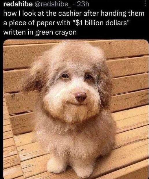 CLELTLES S 3 how I look at the cashier after handing them a piece of paper with 1 billion dollars written in green crayon