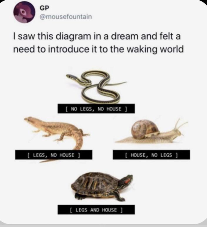 P GP dmousefountair saw this diagram in a dream and felt a need to introduce it to the waking world 3