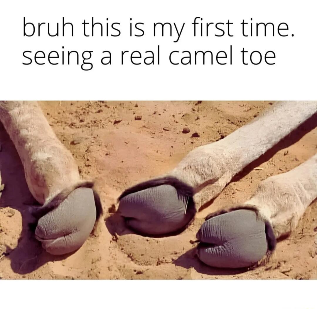 bruh this is my first time seeing a real camel toe