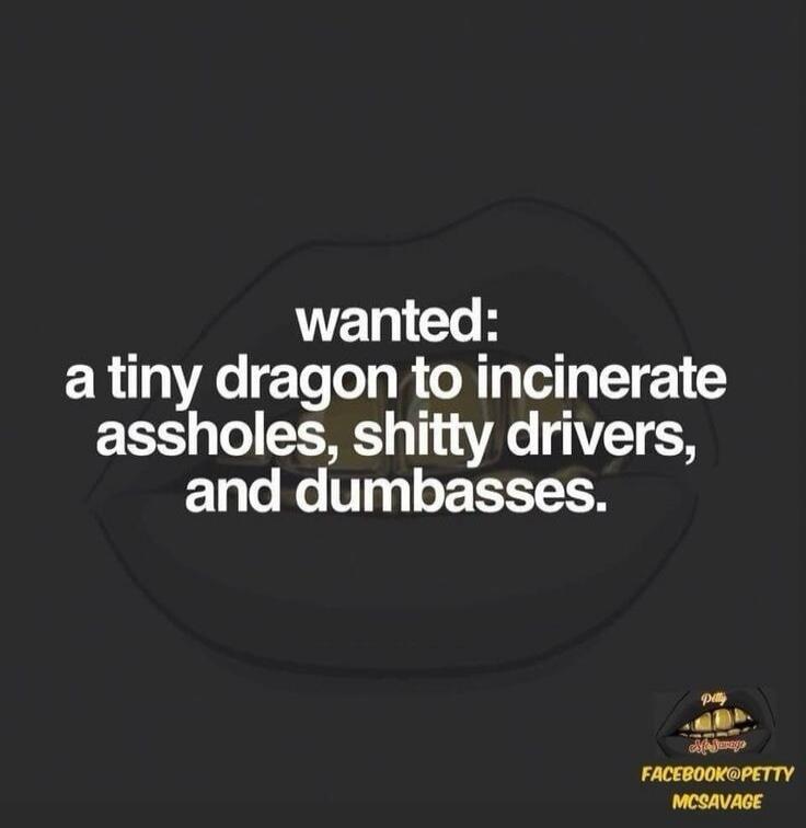 wanted: a tiny dragon to incinerate assholes, shitty drivers, and dumbasses. FACEBOOK@PETTY MCSAVAGE