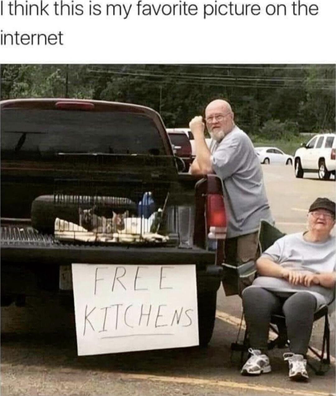 think this Is my favorite picture on the internet