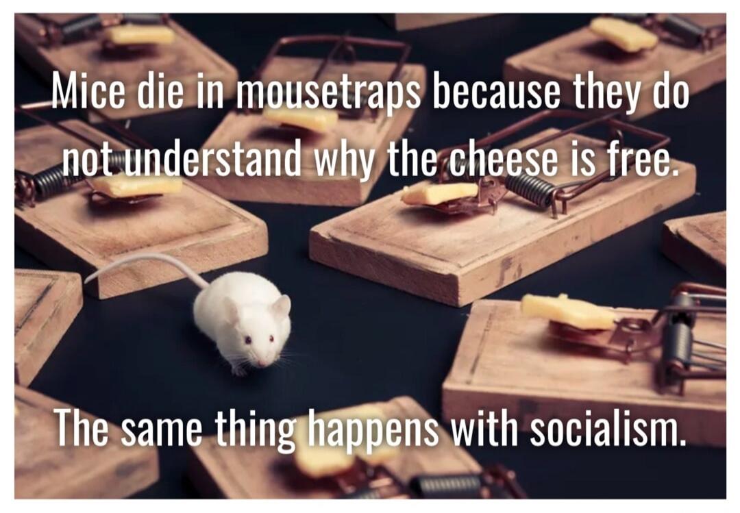 Mice die in mousetraps because they do not understand why the cheese is free. The same thing happens with socialism.