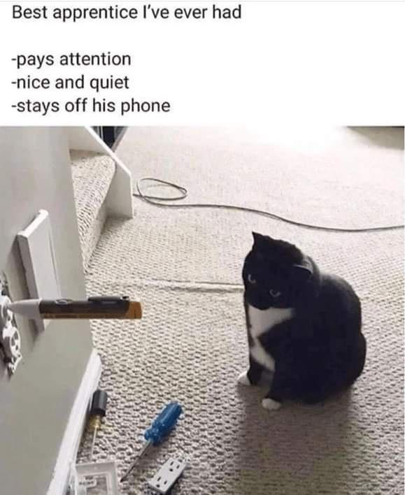 Best apprentice Ive ever had pays attention nice and quiet stays off his phone