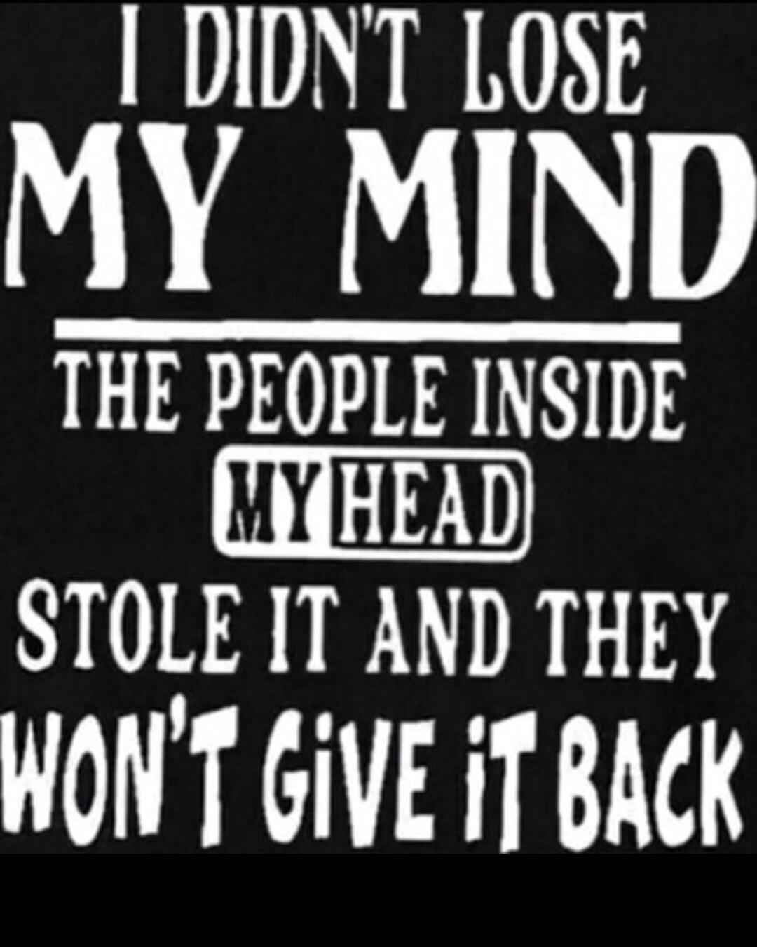 I DIDN'T LOSE MY MIND THE PEOPLE INSIDE MY HEAD STOLE IT AND THEY WON'T GIVE IT BACK