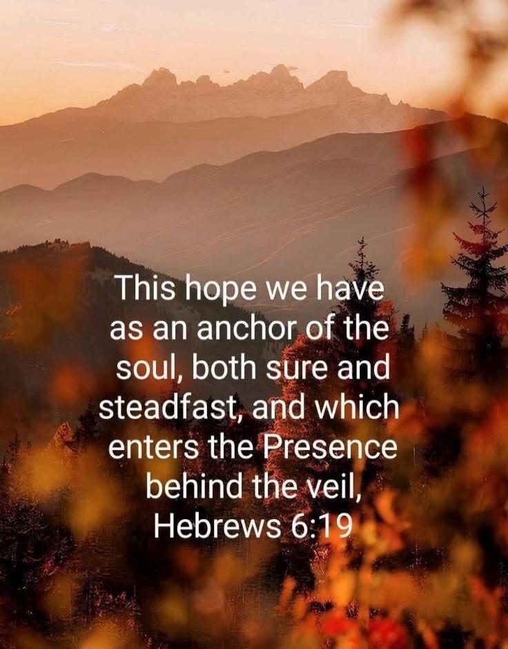 This hope we have as an anchor of the soul, both sure and steadfast, and which enters the Presence behind the veil, Hebrews 6:19