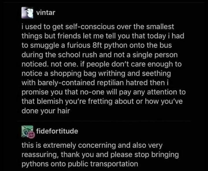 Q quhoete Follow R vintar iused to get self conscious over the smallest things but friends let me tell you that today i had to smuggle a furious 8ft python onto the bus during the school rush and not a single person noticed not one if people dont care enough to notice a shopping bag writhing and seething with barely contained reptilian hatred then i promise you that no one will pay any attention t