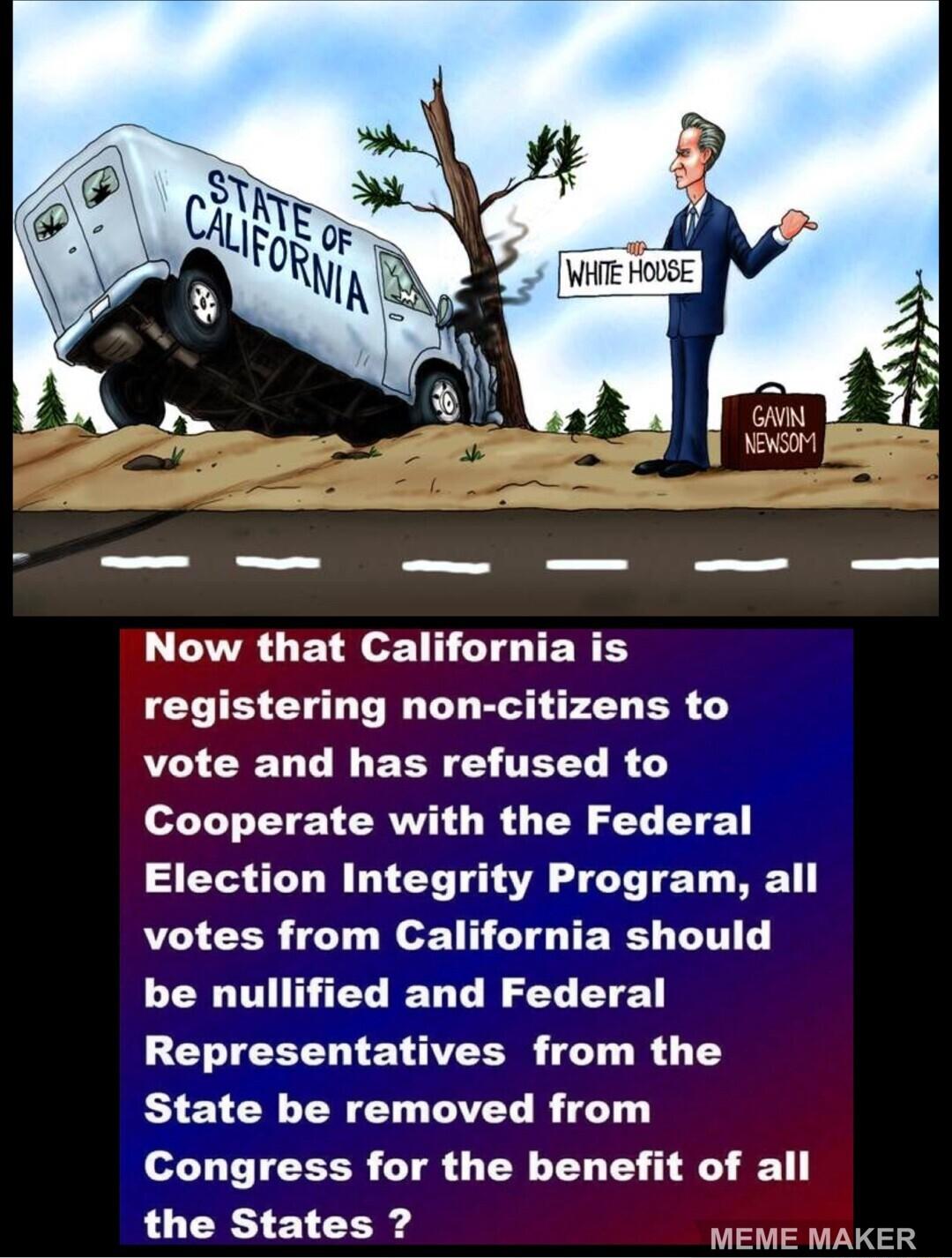 L LVRLECE LT TENEY registering non citizens to vote and has refused to LLTEYEAERW O R TN CL EYE Election Integrity Program all votes from California should be nullified and Federal Representatives from the State be removed from Congress for the benefit of all the States MEME MAKER