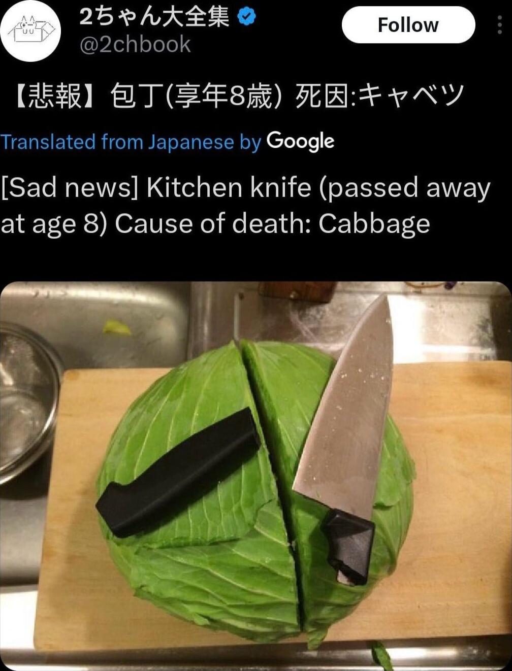 25 AKREK ollow IR 2chbook K8R BT ZF8HR ZEEF v Y Translated from Japanese by Google EECRENE QO E TGN CEREG EWEW at age 8 Cause of death Cabbage