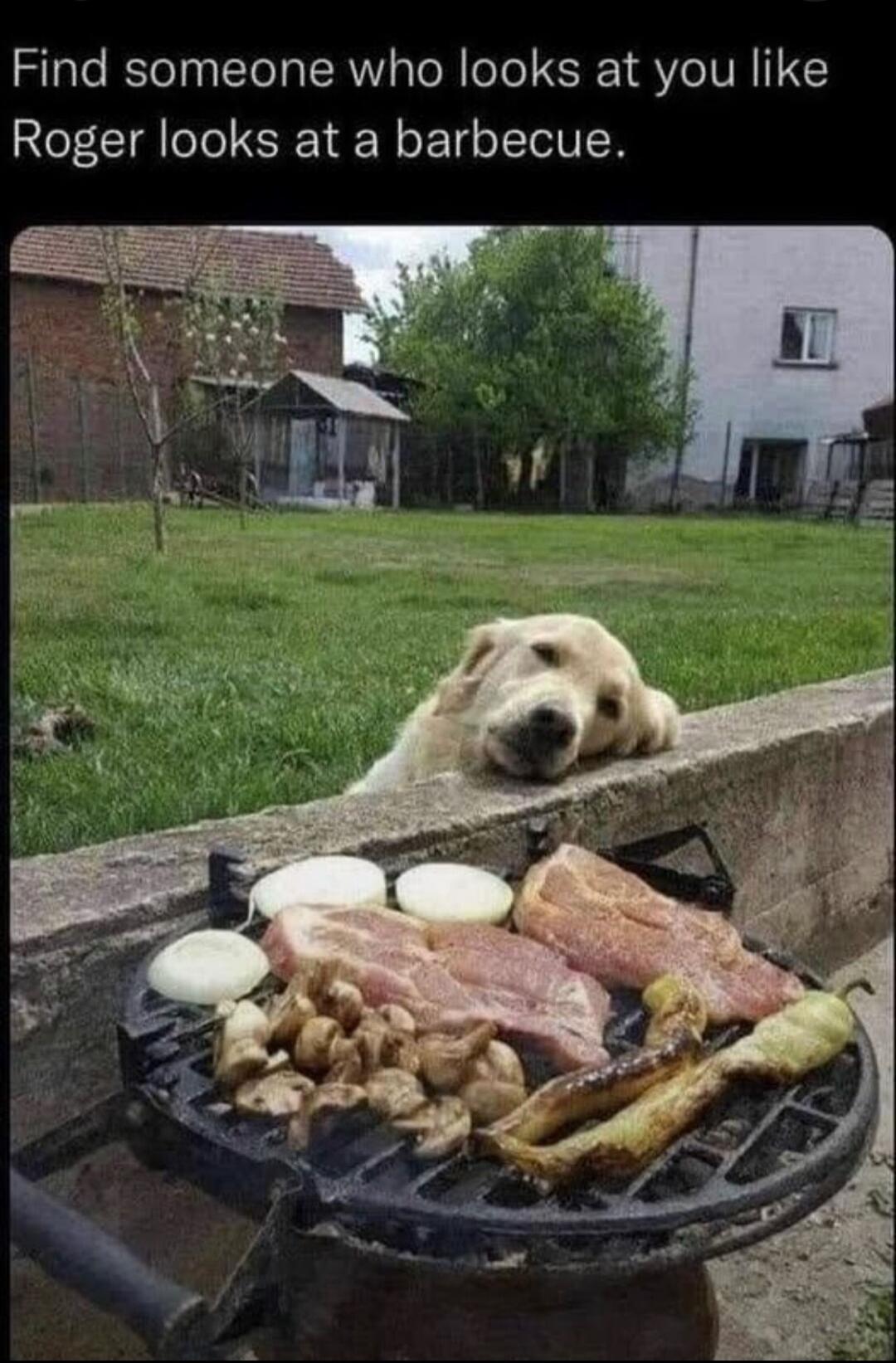Find someone who looks at you like Roger looks at a barbecue.