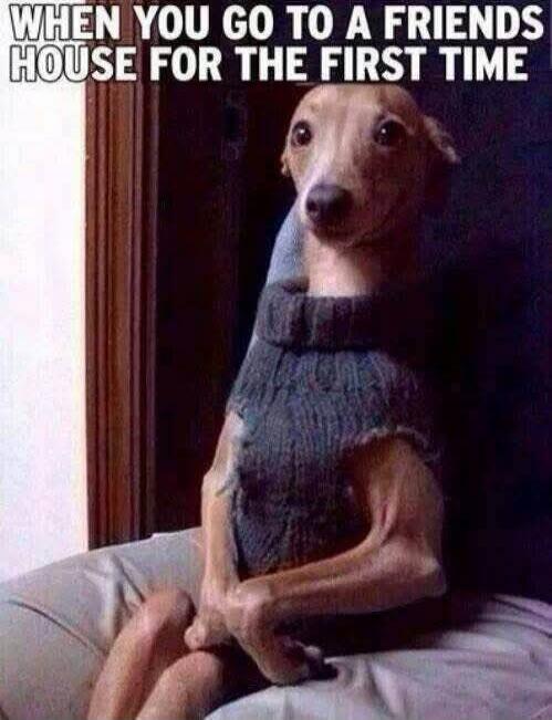WHEN YOU GO TO A FRIENDS HOUSE FOR THE FIRST TIME