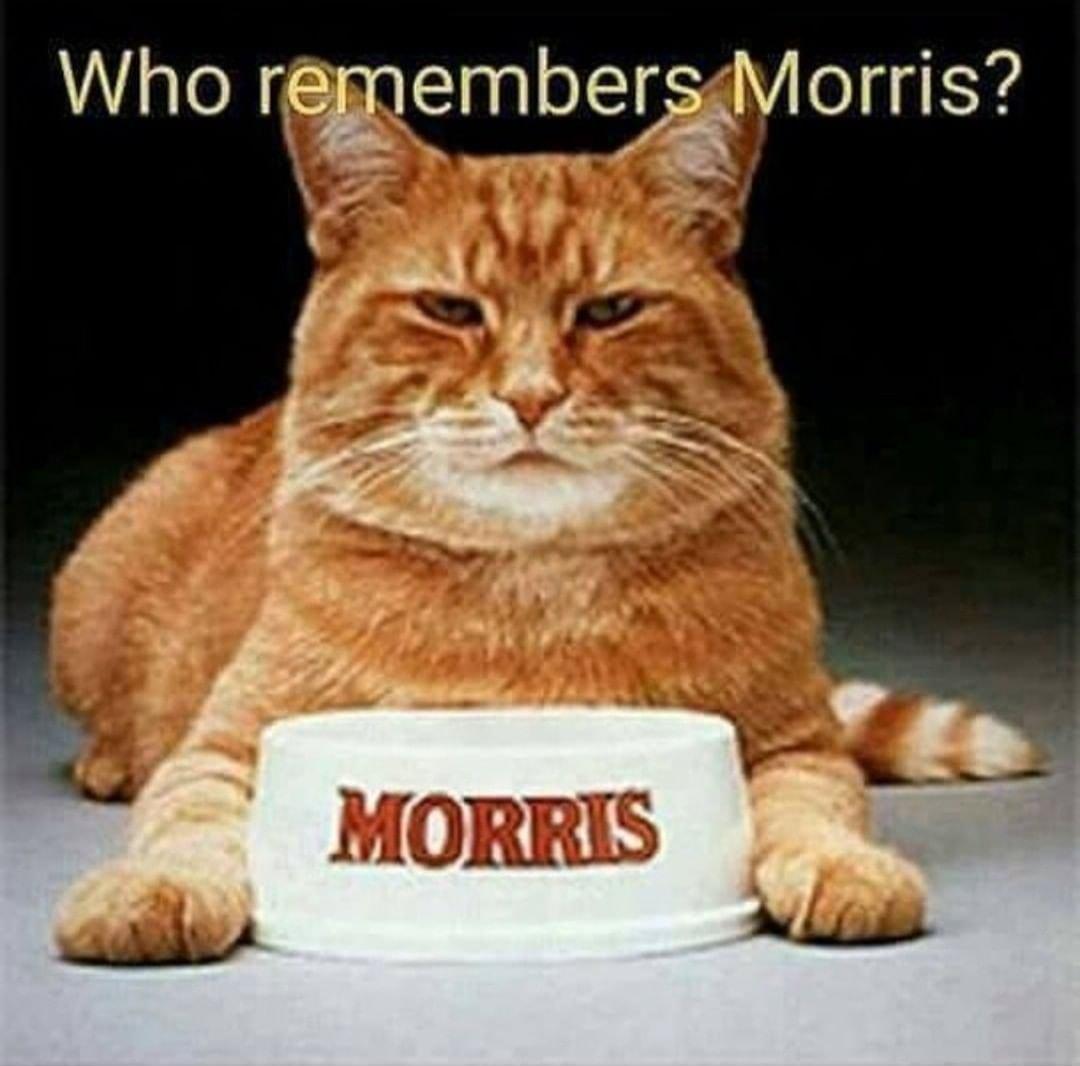 Who renemberllorris 4