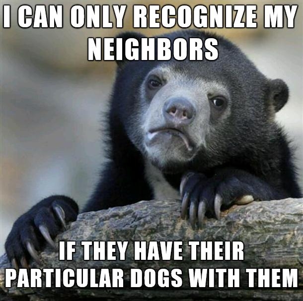 D e IF THEY PARTICULAR DOGS WITH T