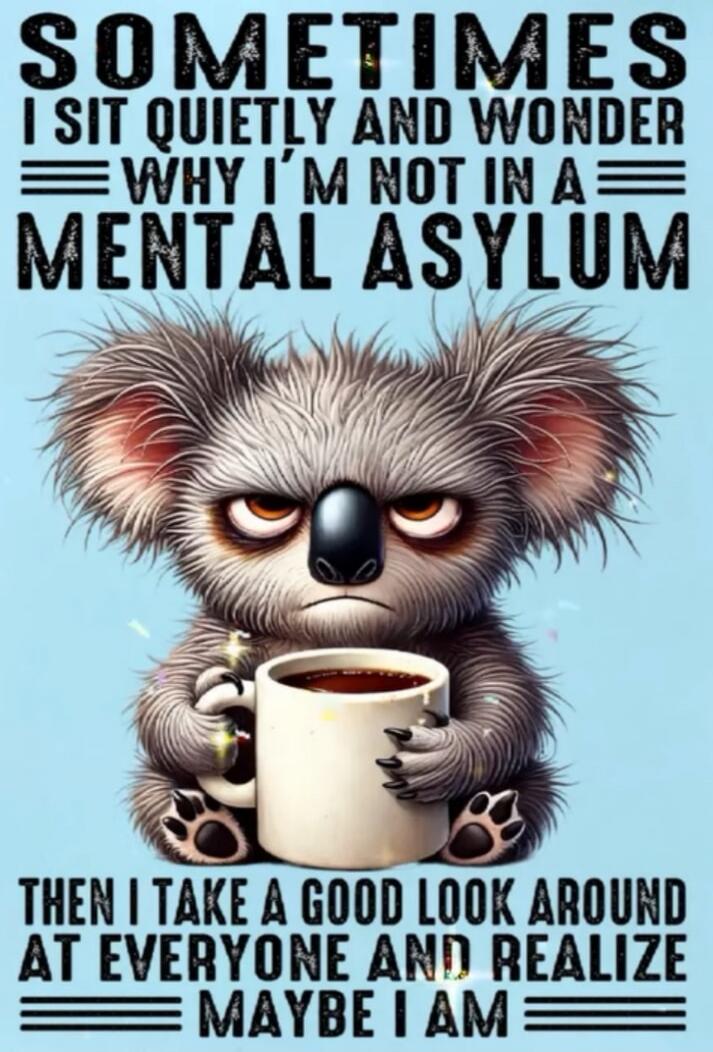 SOMETIMES I SIT QUIETLY AND WONDER WHY I'M NOT IN A MENTAL ASYLUM
THEN I TAKE A GOOD LOOK AROUND AT EVERYONE AND REALIZE MAYBE I AM