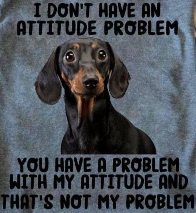 I DON'T HAVE AN ATTITUDE PROBLEM YOU HAVE A PROBLEM WITH MY ATTITUDE AND THAT'S NOT MY PROBLEM