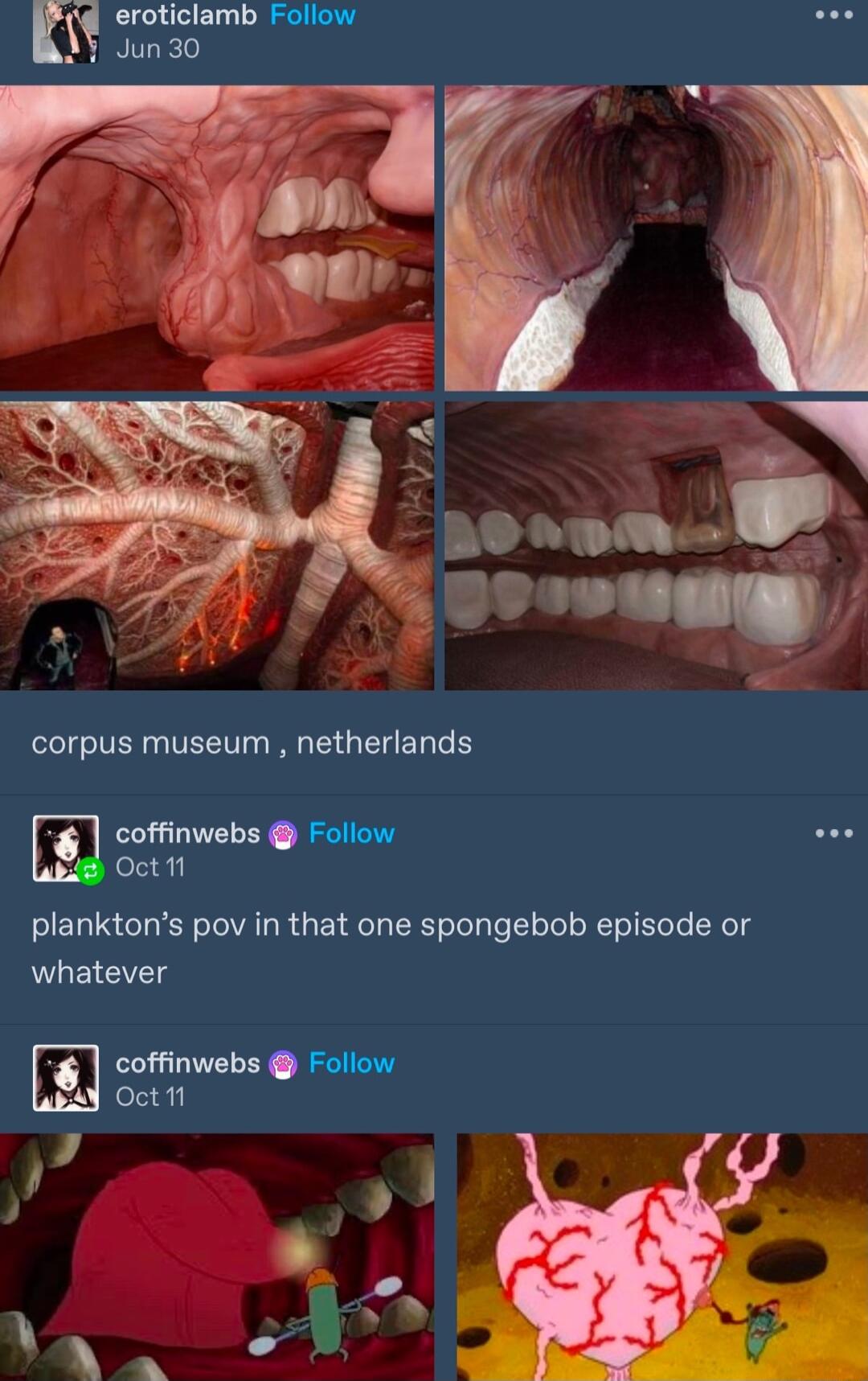 eroticlamb Follow oo Jun 30 corpus museum netherlands coffinwebs Follow Oct planktons pov in that one spongebob episode or NGBS coffinwebs Follow Oct 1
