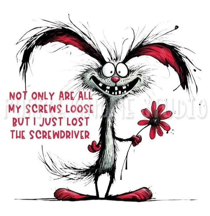 NOT ONLY ARE ALL MY SCREWS LOOSE BUT I JUST LOST THE SCREWDRIVER