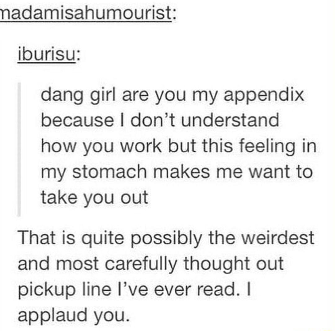 nadamisahumourist iburisu dang girl are you my appendix because dont understand how you work but this feeling in my stomach makes me want to take you out That is quite possibly the weirdest and most carefully thought out pickup line Ive ever read applaud you