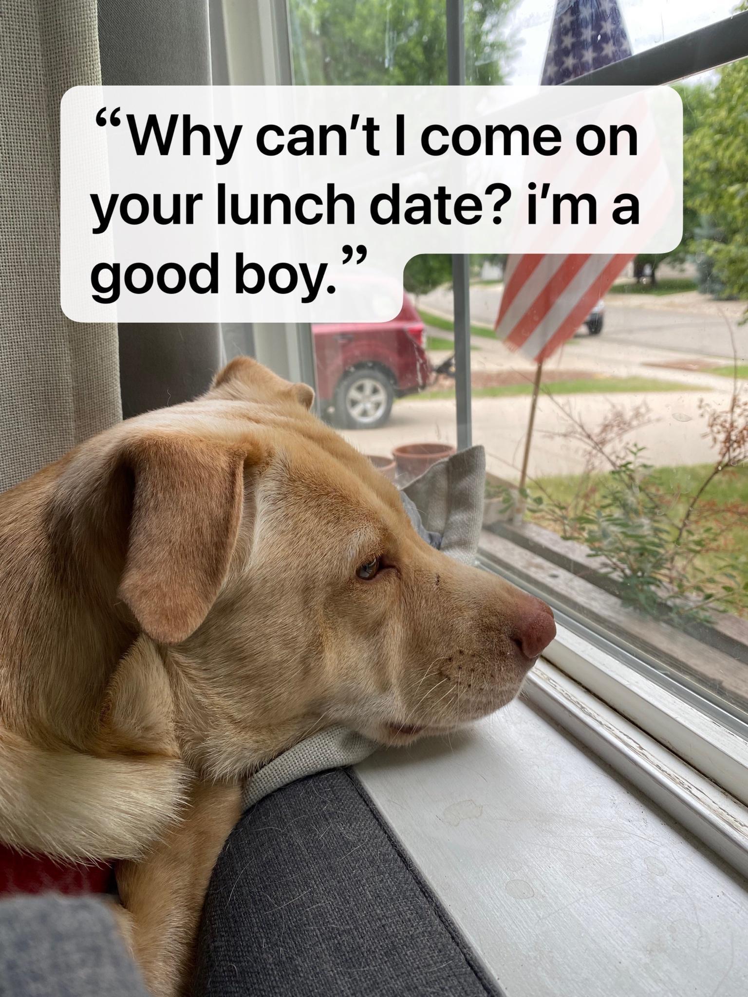 Why cant come on your lunch date ima