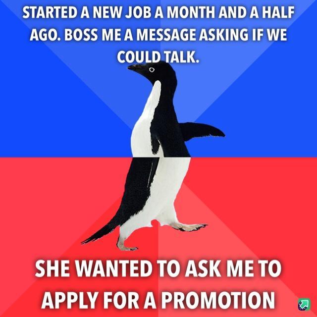 STARTED A NEW JOB A MONTH AND A HALF AGO BOSS ME A MESSAGE ASKING IF WE COULDTALK SHE WANTED TO ASK METO APPLY FOR A PROMOTION
