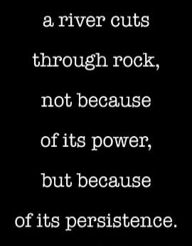 a river cuts through rock, not because of its power, but because of its persistence.