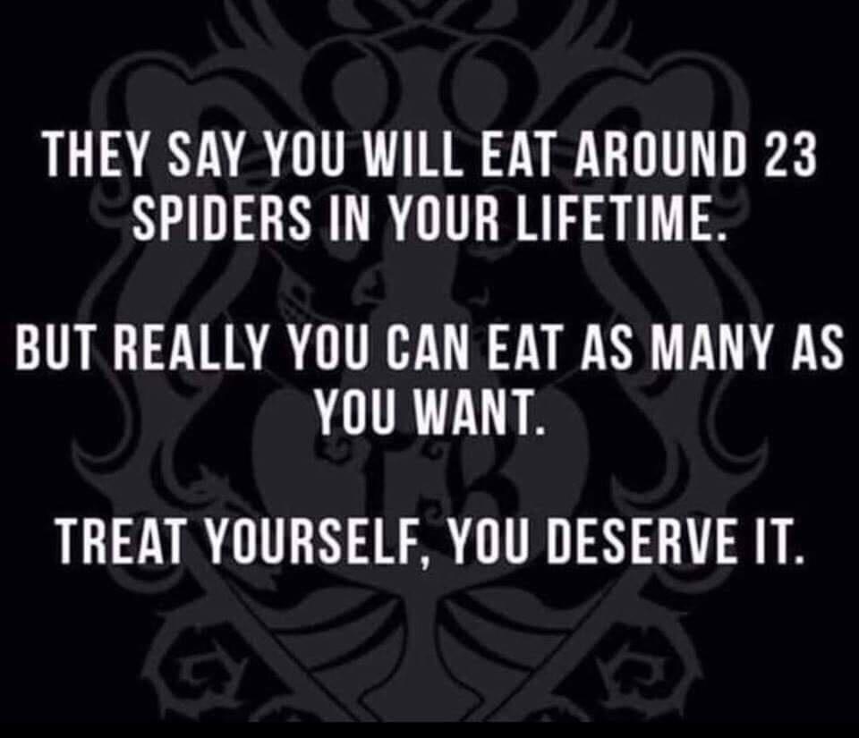 THEY SAY YOU WILL EAT AROUND 23 SPIDERS IN YOUR LIFETIME BUT REALLY YOU CAN EAT AS MANY AS YOU WANT TREAT YOURSELF YOU DESERVE IT