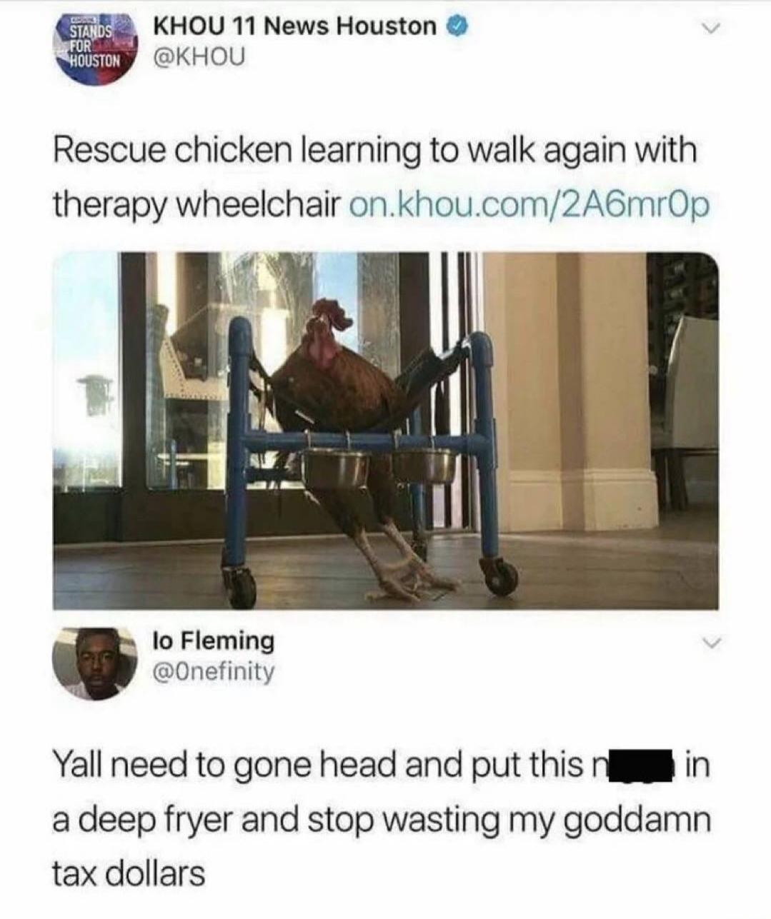 KHOU 11 News Houston @KHOU Rescue chicken learning to walk again with therapy wheelchair on.khou.com/2A6mr0p Io Fleming @0nefinity Yall need to gone head and put this n**** in a deep fryer and stop wasting my goddamn tax dollars