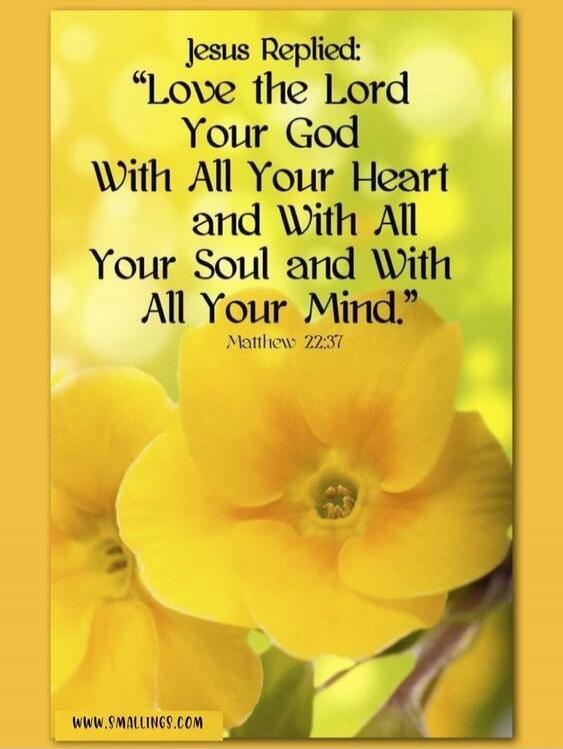 Jesus Replied: 