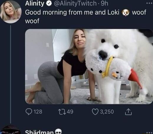 Alinity AlinityTwitch 9h J Good morning from me and Loki woof woof 7 Q128 49 Qs250 Py rpra