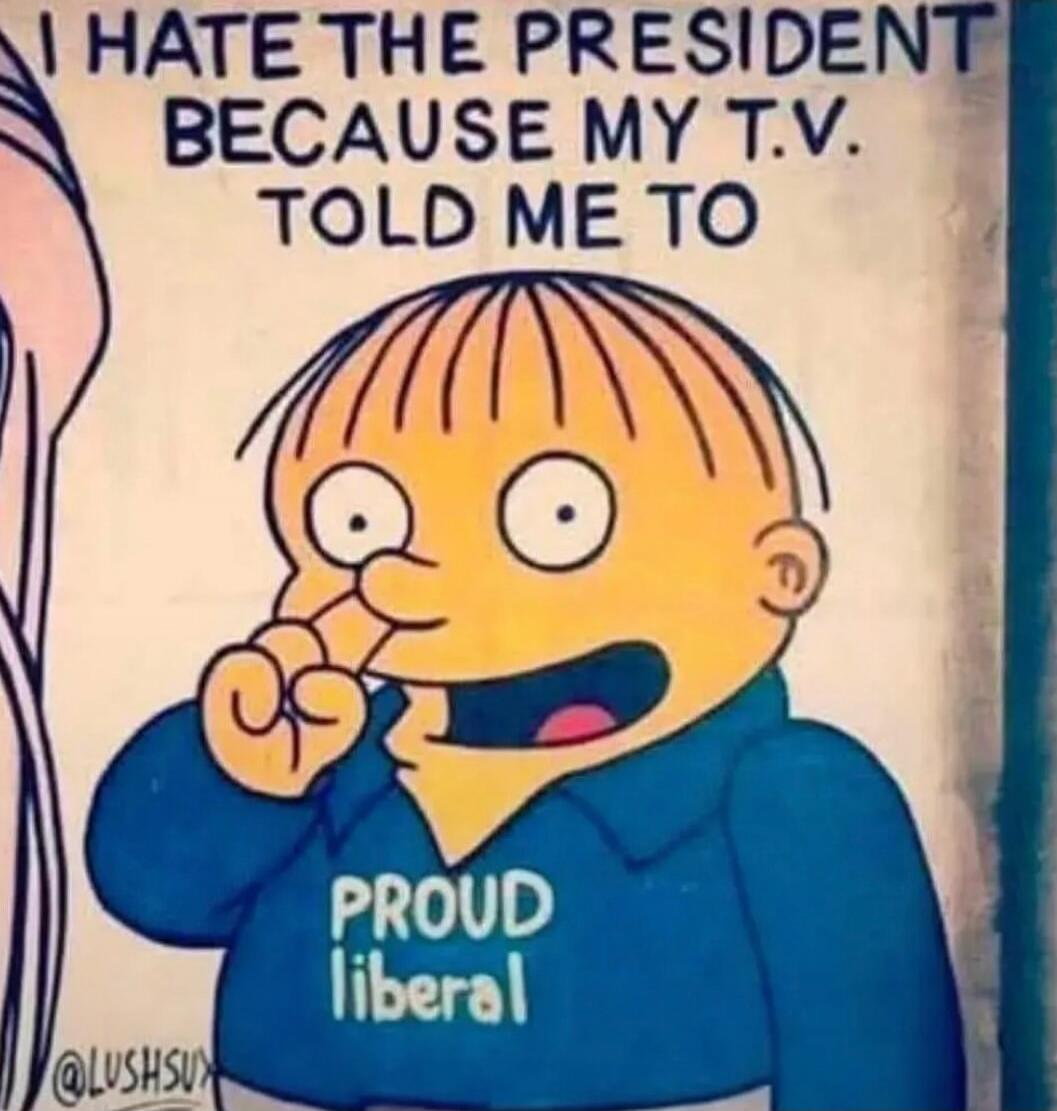 I HATE THE PRESIDENT BECAUSE MY T.V. TOLD ME TO
PROUD liberal