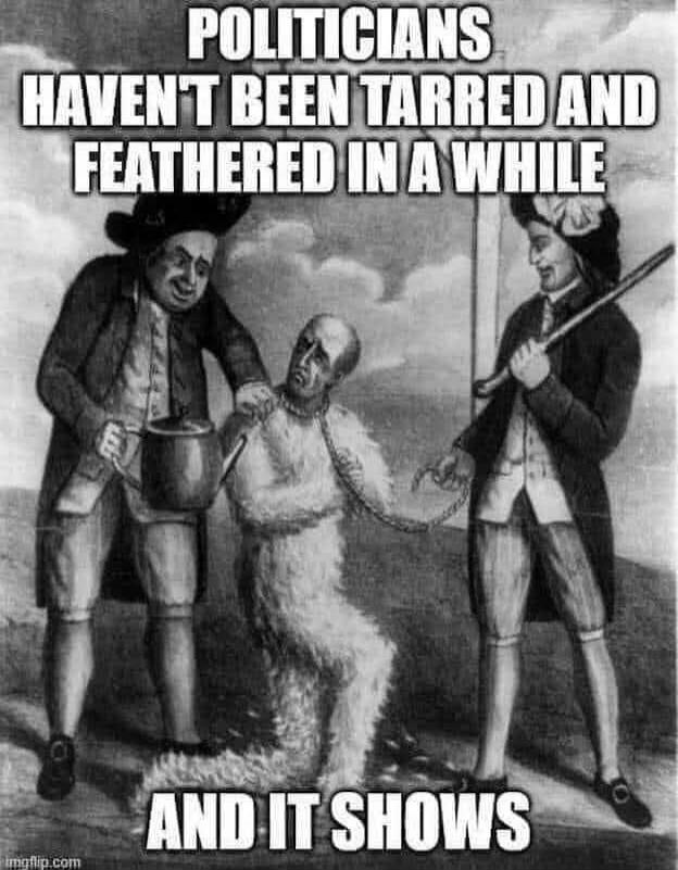 POLITICIANS HAVEN'T BEEN TARRED AND FEATHERED IN A WHILE AND IT SHOWS