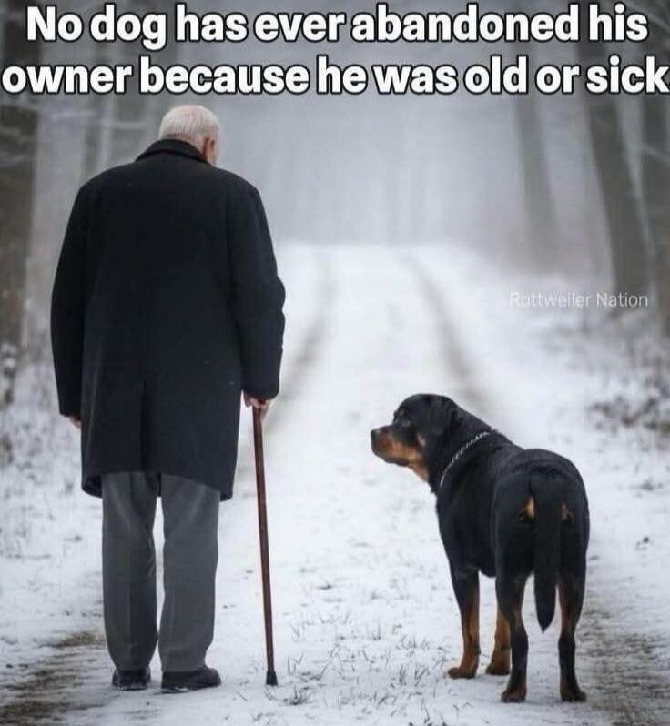 No dog has ever abandoned his owner because he was old or sick. Rottweiler Nation.