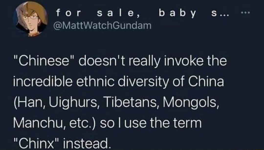 foir sale baby s CIVERIEE Ve Chinese doesnt really invoke the incredible ethnic diversity of China Han Uighurs Tibetans Mongols Manchu etc so use the term Chinx instead