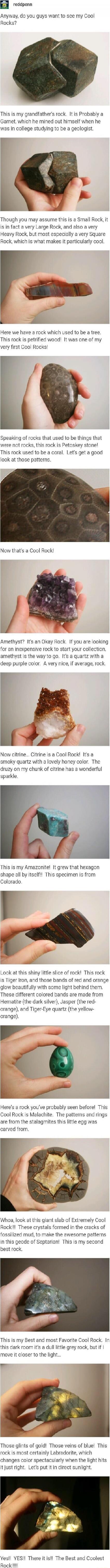 Image shows a collage of various rocks with humorous captions about their origins and characteristics. The captions appear to describe each rock in a playful, educational way, mentioning things like petrified wood, large vs small rocks, square rocks, and other amusing notes about their formation or appearance.