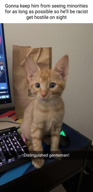 Gonna keep him from seeing minorities for as long as possible so hell be racist get hostile on sight