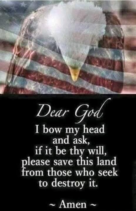 Dear God I bow my head and ask, if it be thy will, please save this land from those who seek to destroy it. Amen.