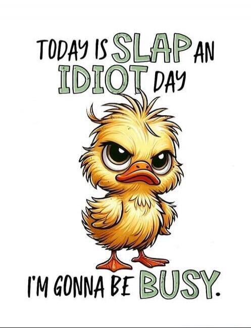 TODAY IS SLAP AN IDIOT DAY I'M GONNA BE BUSY.