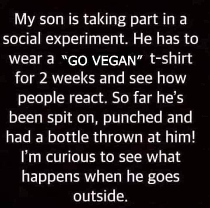 My son is taking partin a social experiment He has to wear a GO VEGAN t shirt for 2 weeks and see how 01Too N T Lo B 1 1 54 been spit on punched and had a bottle thrown at him Im curious to see what happens when he goes outside