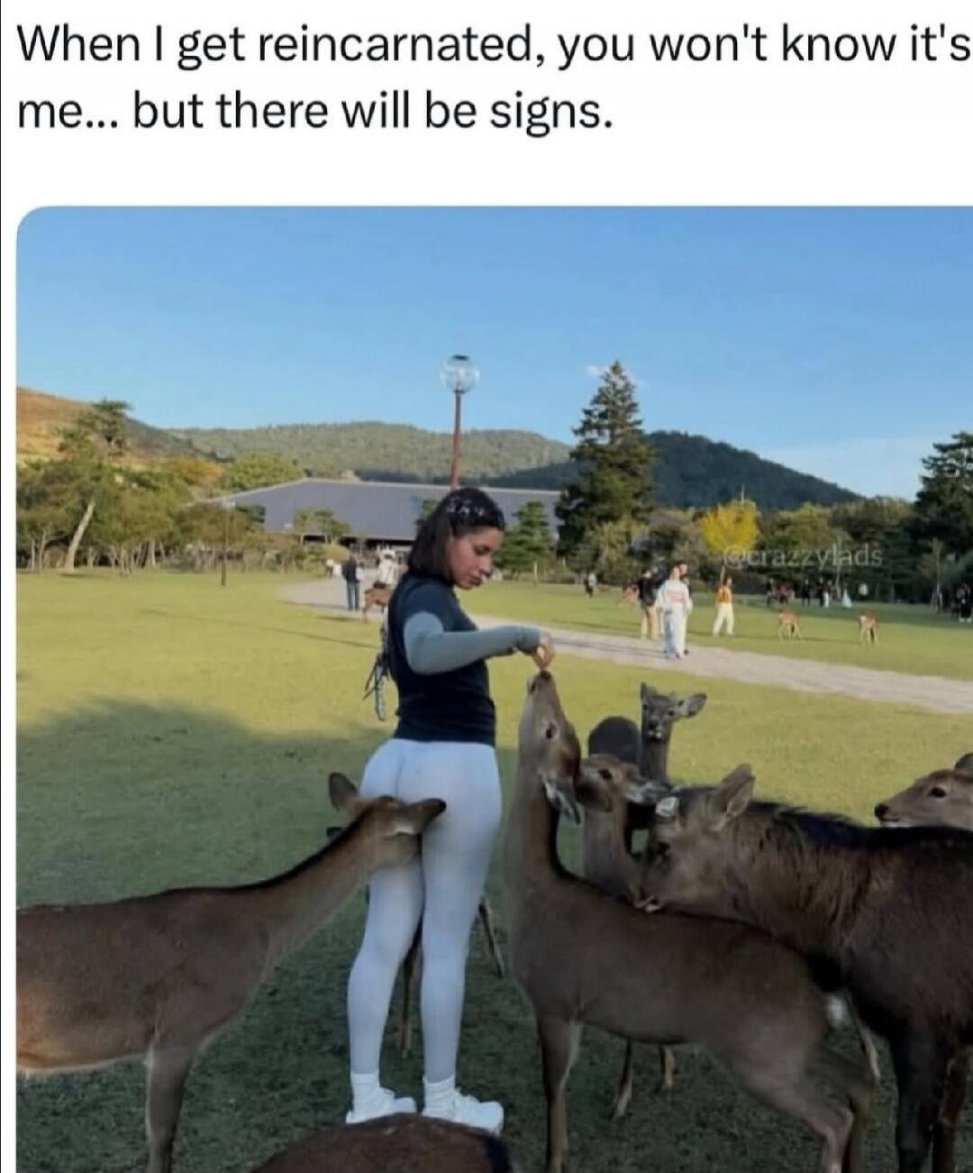 When I get reincarnated, you won't know it's me... but there will be signs.