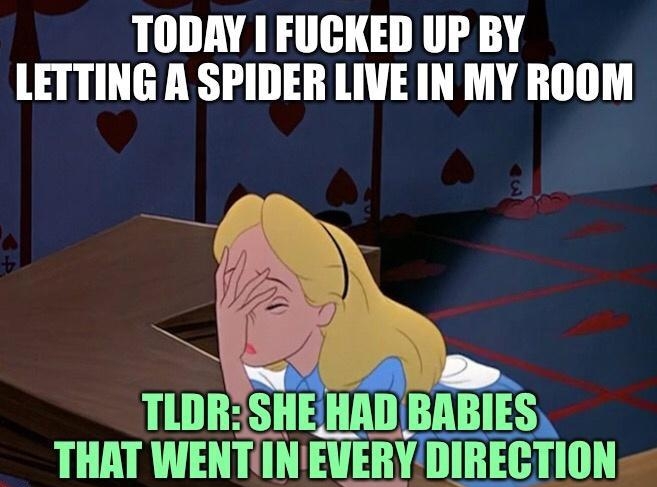 TODAY 1 FUCKED UP BY LETTING A SPIDER LIVE IN MY ROOM TLDRSHEHA s THAT WENTIN EVERYDIRECTION