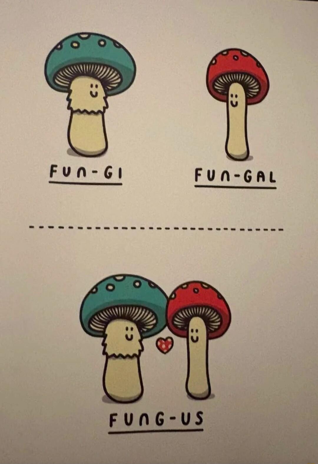 A blue mushroom is labeled 'FUN-GI', a red mushroom is labeled 'FUN-GAL', and when they are together with a heart, they are labeled 'FUNG-US'.
