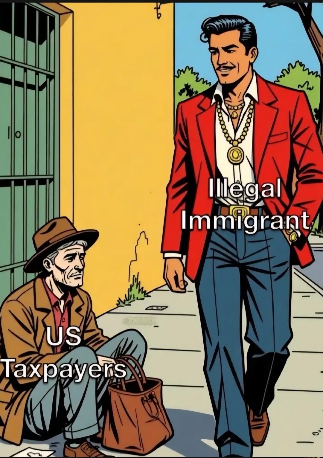 Illegal Immigrant
US Taxpayers