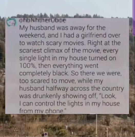 My husband was away for the weekend and had a girlfriend over to watch scary movies Right at the scariest climax of the movie every single light in my house turned on 100 then everything went completely black So there we were too scared to move while my husband halfway across the country was drunkenly showing off Look can control the lights in my house from mv phane