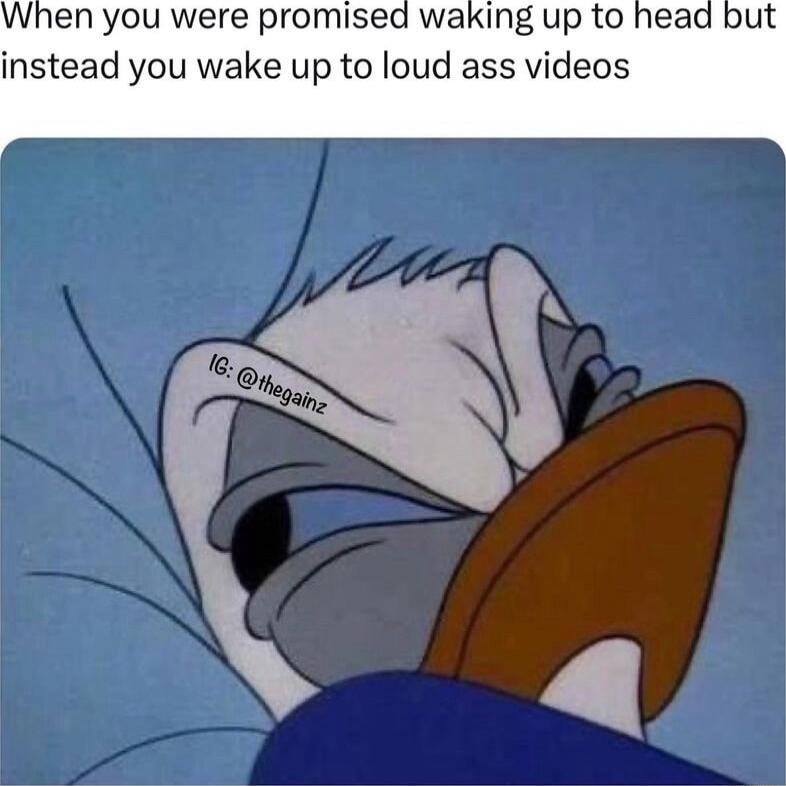 en you were promised waking up to head but instead you wake up to loud ass videos