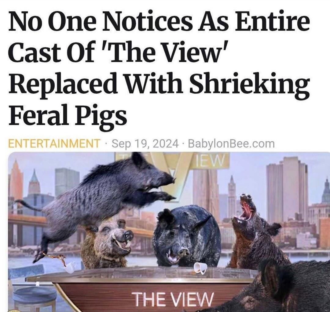 No One Notices As Entire Cast Of 'The View' Replaced With Shrieking Feral Pigs ENTERTAINMENT Sep 19, 2024 BabylonBee.com THE VIEW